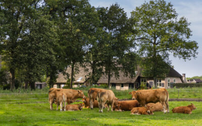 Stichting Drents Agrarisch Efgoed genomineerd voor de Cultuurfonds Drenthe Natuurprijs 2025