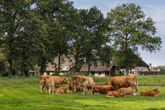 Stichting Drents Agrarisch Efgoed genomineerd voor de Cultuurfonds Drenthe Natuurprijs 2025