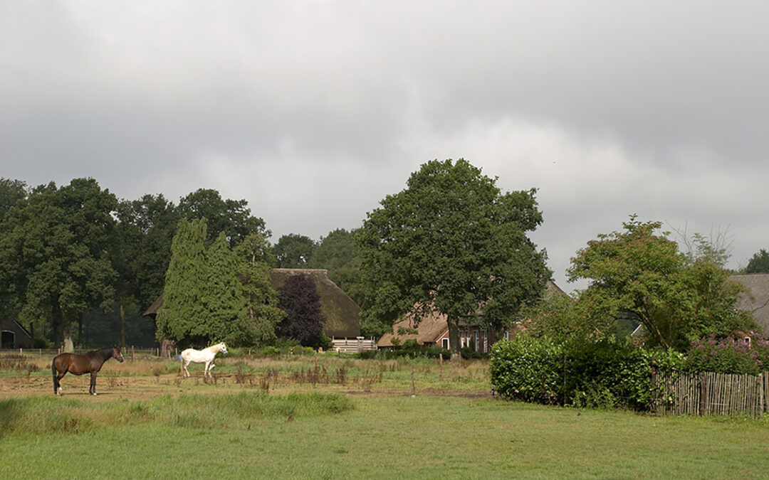 Uitnodiging inspiratiemiddag Agroforestry op je particuliere of boerenerf 18 september 2025