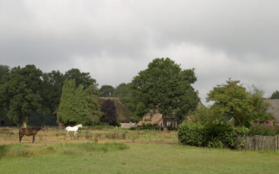 Uitnodiging inspiratiemiddag Agroforestry op je particuliere of boerenerf 28 september 2025